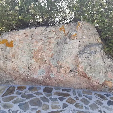 فيلة 《μάνα γη》 *