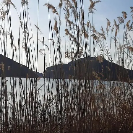 《μάνα γη》 فيلة