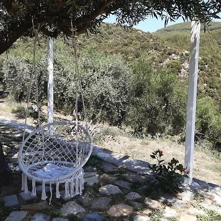 《μάνα γη》
